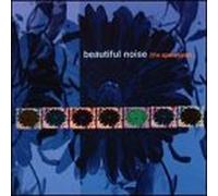 Beautiful Noise - Apocalpse