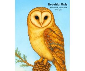 Beautiful Owls: A realistic owl coloring book for all ages