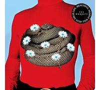 The Wombats Beautiful People Will Ruin Your Life (Vinyl LP) 12" Album
