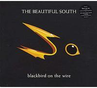 BEAUTIFUL SOUTH - BLACKBIRD ON THE WIRE CD UK GO DISCS 1997