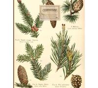 Beautiful Vintage composition notebook: College Ruled 100 Pages - 7.5" x 9.25" Red pine twigs and cones: For lovers of nature and plants. The beauty ... Perfect gift for adults and childrens.