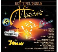 Beautiful World Of Musicals - various