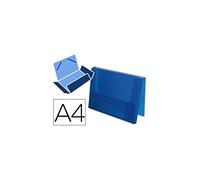 Beautone 20963 - cartella porta documenti, A4, colore blu Trasparente