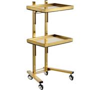 Beauty Cart Carrello portautensili con vassoio portaoggetti a 2 livelli per salone, spa, clinica e uso domestico