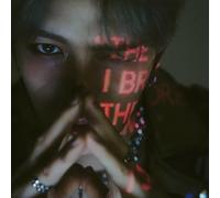 beauty in chaos [photobook album]