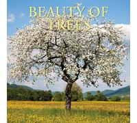 Beauty of Trees - Die Schönheit der Bäume 2026 - 16-Monatskalender: Original Gifted Stationery-Kalender [Mehrsprachig] [Kalender]