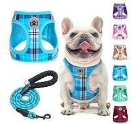 BEAUTYZOO Set di pettorina e guinzaglio per cani di piccola taglia, anti-soffocamento, anti-tiro, in morbida rete riflettente, per cani e gatti di taglia XS, S, M, colore: blu, L