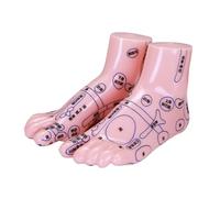 Beavorty Anatomia Del Piede Umano Per Riflessologia Simulazione Punti Agopuntura Compatto e Resistente Per Scuole Tcm Cliniche e Formazione