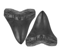 Beavorty Decorazione in Resina Megalodonte Riproduzione Denti di Squalo 2 Pezzi per Arredamento da Tavolo e Collezione Didattica, Oggetto Leggero e Realistico per Appassionati di Storia