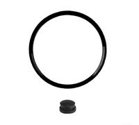 BEAZOOM Anello di tenuta in silicone 09936 per bombola a pressione 6Qt per modelli 4QT Guarnizione resistente alle alte temperature (1 confezione)
