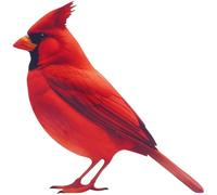 BEAZOOM Campanello a vento colorato con colibrì per uccello rosso, realizzato a mano, in alluminio, decorazione da giardino per esterni, rilassante ornamento da appendere in stile europeo, 65,5 cm (A)