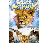 Bebe animaux, jeunes et sauvages, vol. 1 : de la naissance aux premiers pas