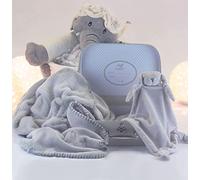 BebeDeParis | Regali originali per neonati | Coperta e Doudou Baby Basket | 3-6 Mesi (grigio)
