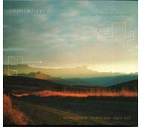 Bebelaar,Patrick - You Never Lose An Island