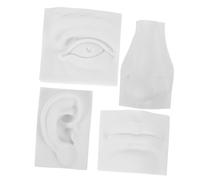 BEBEMOKO 1set Modelli Gesso per Sculptura di Caratteristiche Facciali Strumenti Didattici per Disegno e Pratica Artistica per Decorazioni Domestiche e Preparazione Esami Arte
