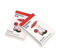 BEBEMOKO 2sets Blocchi di Carta Decorativa per Scrapbook per Appunti e Decorazioni con Tema Fungo Carta Artistica Resistente e Pratica per Note Etichette e Decorazioni Personali