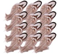 BEBEMOKO 50pezzi Piume Decorative Naturali per Artigianato Decorazioni per Matrimonio e Feste Accessori per Catturare Sogni e Composizioni Floreali Personalizzabili e Versatili