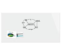 BeBoard B1700 Lavagna magnetica di vetro, 240 x 120 cm, bianco puro