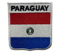 Bebuz Toppa ricamata con bandiera del Paraguay, da applicare con ferro da stiro, da cucire, per giacche, cappelli, borse, uniformi militari