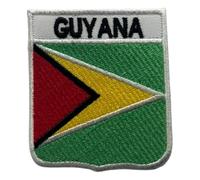 Bebuz Toppa ricamata con bandiera nazionale della Guyana, da applicare con ferro da stiro, da cucire, per giacche, cappelli, borse, uniformi militari