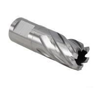 Bebykilemi Punta per trapano anulare in metallo, apri fori cavi, 12-42 mm, in acciaio ad alta velocità con geometria ottimizzata della scanalatura per una rapida espulsione dei trucioli, compatibile