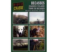 Bécasse : Chasses d'Irlande, terre de bécasses - Vidéo Chasse - Chasse du petit gibier