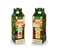 Becherovka Pack Arancia-Zenzero e Pompelmo-Luppolo - 2x 500ml