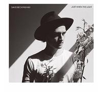 Beckingham,David - Just When the Light