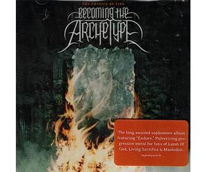 Becoming The Archetype - The Physics of Fire