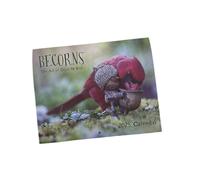 Becorns My Bird 2025 Calendar of Birds Funny Bird Wall Calendar