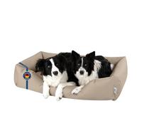 BedDog Cuscino Cane 3XL - Cuccia Cane Interno Taglia Piccola - Cuccia per Cani - Lettino per Cani - Letto per Cani in Tessuto Alicante e Cordura - Cucce per Cani da Interno