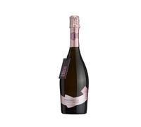 BEDIN Prosecco Treviso DOC Rosé Millesimato, Vino Spumante, 75 cl