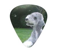 Bedlington Terrier Cani divertenti Cani pelosi Animali domestici,12 pezzi di plettri per chitarra, 3 plettri di diverso spessore per chitarra acustica, basso, ukulele