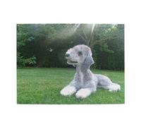 Bedlington Terrier Cani divertenti Cani pelosi Animali domestici, Puzzle da 500 pezzi per adulti - Puzzle in legno per adulti Anziani
