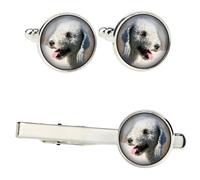 Bedlington Terrier set di mollette in una scatola con immagine Art-Dog