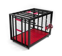 Bedroom Fantasies Gabbia BDSM