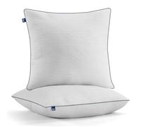 BedStory Cuscino 80 x 80 cm, con imbottitura regolabile, 1500 g x 2 in microfibra, certificato Oeko-TEX 100, traspirante e lavabile in lavatrice, per divano e tutte le posizioni di sonno