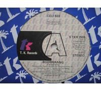 Bee, Celi & Buzzy Bunch - Bee, Celi & Buzzy Bunch Boomerang 7" TK STKR7509 EX 1978 demo