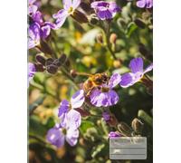 Bee Floral Composition Notebook: Aubrieta Flower Design • 8.5" x 11" • 100 Lined Pages • Nature Journal for School, Writing & Notes