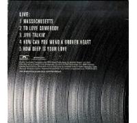 Bee Gees - Record: Their Greatest Hits (US Import)