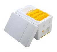 Bee Hive Apicoltura King Box Scatole Di Impollinazione Strumenti Di Apicoltura