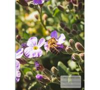 Bee on Purple Flowers Composition Notebook: Aubrieta Flower Design • 8.5" x 11" • 100 Lined Pages • Nature Journal for School, Writing & Notes