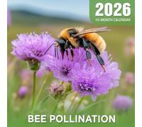 Bee Pollination 2026 Calendar: bees in action across vibrant flowers