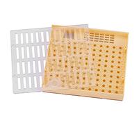 Bee Queen Box per kit per apicoltura per cellulare Apicoltura Kit completo per Queen per allevamento di cellule Kit per rotoli di capelli Gabbia Cupularve di apico