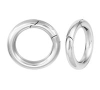 Beebeecraft 1 Scatola 2 Pezzi Chiusura Ad Anello A Molla 304 moschettoni A Scatto in Acciaio Inossidabile Fibbia Ad Anello per Portachiavi Borsetta Portachiavi Forniture per La Fabbricazione