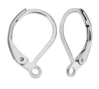 Beebeecraft 1 Scatola 50 Pezzi 316L in Acciaio Inossidabile Chirurgico con Chiusura A Leva per Orecchini con Ganci Francesi per Realizzare Orecchini Pendenti