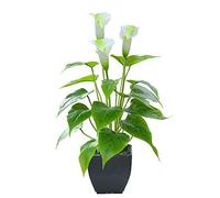 Beebel Fiore artificiale, calle in vaso con vaso nero, decorazione per casa, ufficio, interni ed esterni Fiore finto bianco.