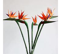 Beebel Fiori artificiali uccelli del paradiso piante verdi per interni ed esterni, ghirlanda per casa, giardino, ufficio, veranda, decorazioni per matrimoni, 6 pezzi (giallo, 6 pezzi)