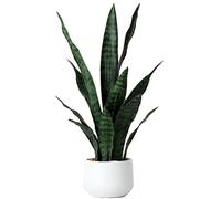 Beebel Sansevieria - Pianta artificiale di serpente finta, 56 cm, in plastica, per casa, giardino, ufficio, negozio, decorazione, 12 foglie (verde)