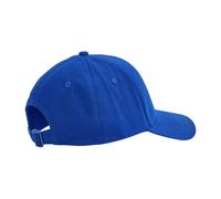 Beechfield EarthAware Cappellino Da Baseball 6 Pannelli (RW10053)